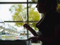 Strong vintages and age-worthy wines shine at 2026 Marlborough Wine Show