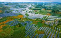 China’s role in saving the world