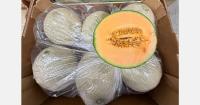 "Favorable weather and reduced plantings give Brazilian melon season a good start"