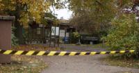 8-year-old severely injured in wolf attack inside German zoo enclosure