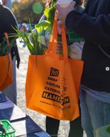 Hamilton Day Back for 6th season celebrating Hamilton’s small business community
