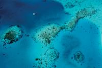The Cruisers Mapping Coral Reefs for Science