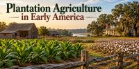 Plantation Agriculture Shaped Early American Farming
