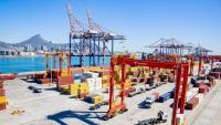 Cape Town Container Terminal prepares for 13% fruit export volume rise