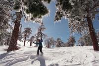 Just an hour from Los Angeles, the historic 390-acre Mt. Waterman ski resort is officially back on the market for $3.27 million