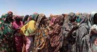 World News in Brief: 5 children killed in Sudan, Haiti hunger emergency, Yemen war update