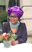 BAUSA mobilises diaspora for development