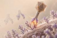 Scientists for the first time injected an AI-created virus into a human
