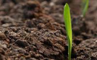 Why soil testing and mapping should be every farmer's first step