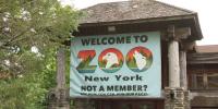 Zoo New York names new executive director