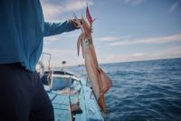From Paper Parks to Lasting Protection, Here’s What Works in Marine Conservation
