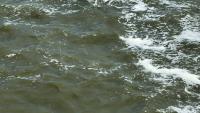 Jacobs and PCL selected for $1bn San Francisco wastewater plant upgrade 