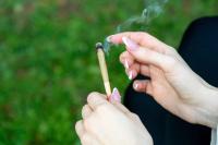 Massachusetts to Vote on Repealing Recreational Marijuana