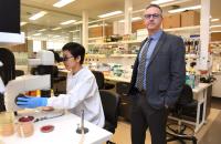 Drug-Resistant Germs Cause an Estimated 9.7 Million U.S. Infections a Year as Candida auris Rises Nearly Tenfold