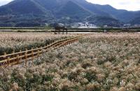 Jeonnam-Gwangju Launches Two-Day Food Tour Buses From Seoul, Busan