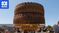 Australia sitting on unused goldmine of old gigantic tyres