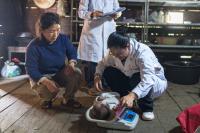 Health focus vital to China's poverty plan