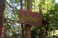 Is Bigfoot hiding out in New Jersey? These Sasquatch hunters have a hunch