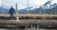 Alaska’s seismic ghost forest