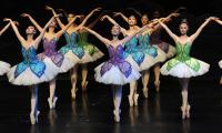 Shanghai Ballet presents "The Butterfly Lovers" at State Theatre New Jersey