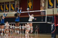 SRJC women’s volleyball pushes through a persistent Modesto team