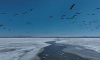Restoring lakes and surrounding landscapes helps strengthen northern China's ecological security barrier