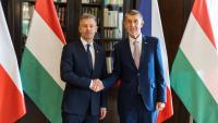First Czech-Hungarian Joint Cabinet Meeting 'Historic'