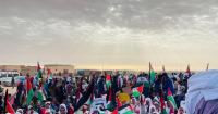 Mass demonstrations in Auserd wilaya reaffirm commitment to independence and Polisario Front