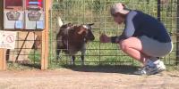 Wisconsin agricultural tourism generated millions for Wisconsin’s economy