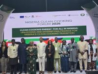 Nigeria Needs More Capital For Clean Cooking Transition — Minister