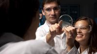 Cornell technologies receive Ignite innovation funding on the path to commercialization
