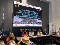 From primary forests to One Health: IUCN Forest and Grasslands…