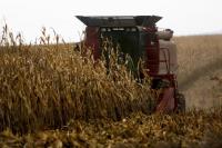 Farmers are Off to a Slow Start on the Harvest