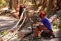 California: Building Readiness, Continuing Recovery, and Running for Resilience