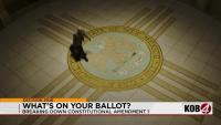 Decision 2026: Constitutional Amendment 1 could change how bills become law in New Mexico