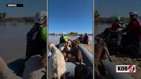 More than 70 goats rescued as responders work to save animals in Socorro County flooding