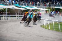 Bryan Submits Revised $27 Million Horse Racing Deal, Urges Senate to Vote in November