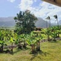 Trade Indiana Frost for Island Sunshine: Join Hoosier Ag Today’s Eric Pfeiffer on a Hawaiian Getaway