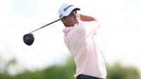 Vilips uses pair of birdie streaks to take first-round Mexico Open lead