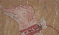 Forget Fido! Ancient Egyptians called their dogs names like 'He-of-the-Underworld', new discovery reveals