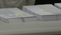 Proposed Marijuana and English language State Constitutional amendments are on Idaho’s ballot