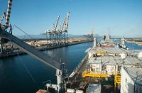 "We refuse to be instruments of death": Italian dockworkers block India-origin steel bound for Israel