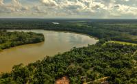 EU on the hunt for carbon credits in the Bolivian Amazon: Indigenous communities denounce a ‘new colonialism’