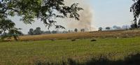 Farm fires ring alarm bells, Punjab records season’s biggest single-day spike with 194 cases on October 29