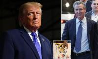 Gavin Newsom slams Trump for 'new low in assault on democracy and rule of law' as criminal investigation into claims of illegal voting in California is launched