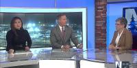 Political Analyst Dr. Cindy Rugeley talks about upcoming midterm elections
