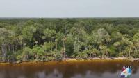 Agricultural enclaves in St. Johns County: What got approved, what got denied, what’s heading to court