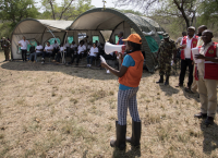 From Global Ambition into National Action: Take Aways from 35 EW4All Roadmaps