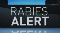Florida health officials issue rabies alert after fox tests positive in Taylor County