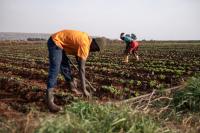 African faith leaders urge Gates Foundation to pay reparations for ecological and social damage 